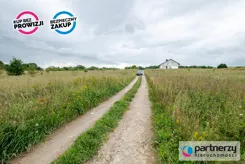 PAN931387 - zdjęcie nr 4
