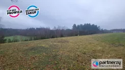 PAN442500 - zdjęcie nr 3
