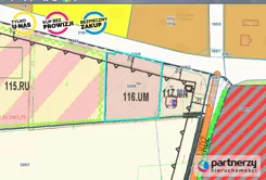 PAN265934 - zdjęcie nr 2