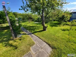 PAN497844 - zdjęcie nr 4