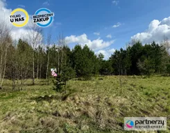 PAN284655 - zdjęcie nr 3