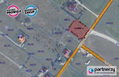 PAN465496 - zdjęcie nr 0