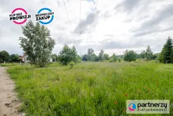 PAN465496 - zdjęcie nr 2