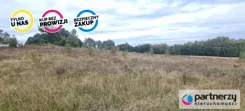 PAN728513 - zdjęcie nr 2
