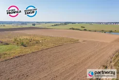 PAN913992 - zdjęcie nr 1