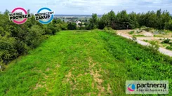 PAN457425 - zdjęcie nr 4
