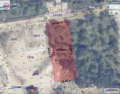 PAN443617 - zdjęcie nr 0