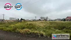 PAN572460 - zdjęcie nr 2