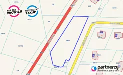 PAN572460 - zdjęcie nr 4