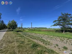 PAN369279 - zdjęcie nr 0