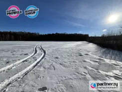 PAN105510 - zdjęcie nr 4