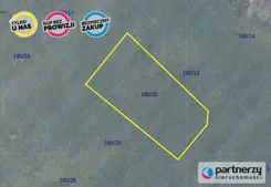 PAN409756 - zdjęcie nr 0