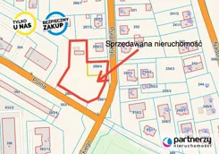 PAN320966 - zdjęcie nr 0