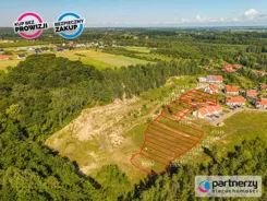 PAN861453 - zdjęcie nr 0