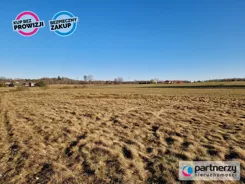 PAN480059 - zdjęcie nr 1