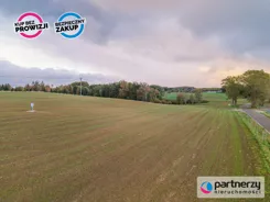 PAN370540 - zdjęcie nr 2