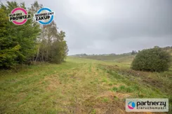 PAN317159 - zdjęcie nr 0