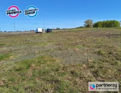 PAN599992 - zdjęcie nr 3