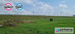 PAN855708 - zdjęcie nr 0