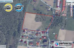 PAN946265 - zdjęcie nr 2