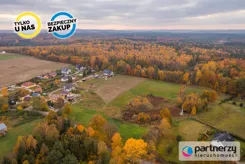 PAN946265 - zdjęcie nr 3