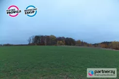 PAN490305586 - zdjęcie nr 1