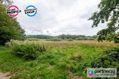 PAN749500 - zdjęcie nr 1