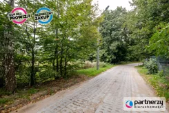 PAN749500 - zdjęcie nr 3