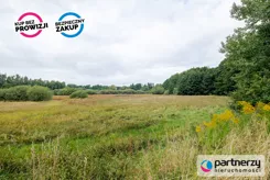 PAN749500 - zdjęcie nr 4