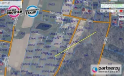 PAN838423 - zdjęcie nr 0