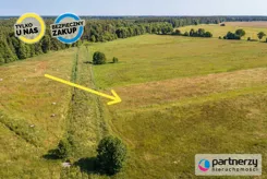 PAN194857 - zdjęcie nr 4