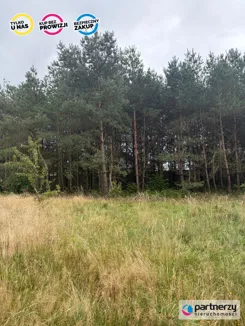 PAN247641 - zdjęcie nr 0