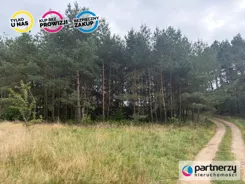 PAN247641 - zdjęcie nr 2