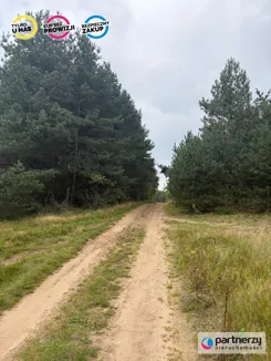 PAN247641 - zdjęcie nr 3