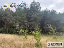 PAN247641 - zdjęcie nr 4