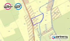 PAN336826 - zdjęcie nr 4