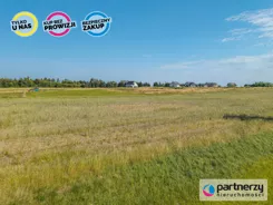 PAN843264 - zdjęcie nr 4