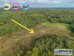 PAN639760 - zdjęcie nr 2
