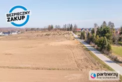 PAN429313 - zdjęcie nr 4
