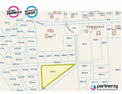 PAN476489 - zdjęcie nr 3
