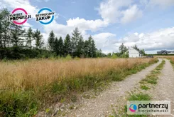 PAN659252 - zdjęcie nr 2