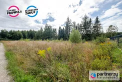 PAN659252 - zdjęcie nr 3