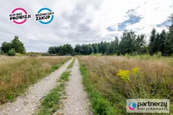 PAN659252 - zdjęcie nr 4