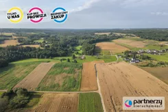 PAN664109 - zdjęcie nr 3