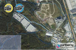 PAN916567 - zdjęcie nr 1