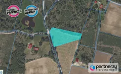 PAN271617 - zdjęcie nr 1