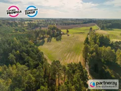 PAN271617 - zdjęcie nr 3