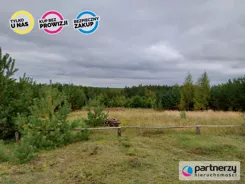 PAN292602 - zdjęcie nr 3