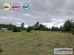 PAN292602 - zdjęcie nr 4