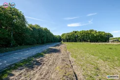 PAN222043 - zdjęcie nr 3